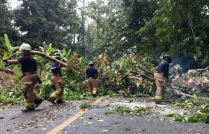 Bomberos en alerta: desafíos en personal, uniformes y seguros afectan a voluntarios y remunerados