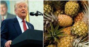 Trump impone a Costa Rica un requisito para exonerar de aranceles sus productos agrícolas