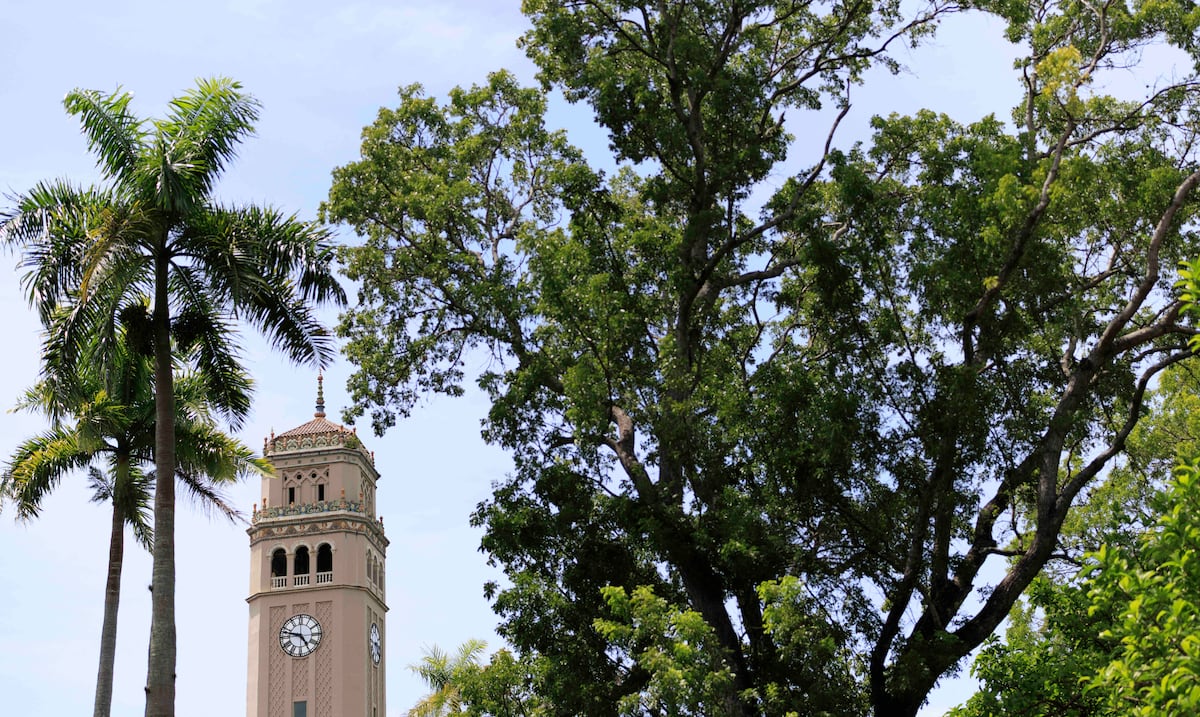 Zayira Jordán Conde promete “explorar acciones” ante eliminación de fondos federales a universidades que sirven a estudiantes hispanos
