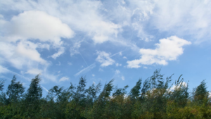 Noviembre trae de regreso los vientos alisios en Costa Rica: ¿comienza la transición hacia la estación seca?