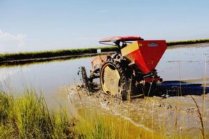 Cuba se propone sembrar 200 000 hectáreas de arroz en 2026