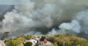 Extinguen fuerte incendio en maleza en colonia Vista Lago, Ilopango - La Prensa Gráfica