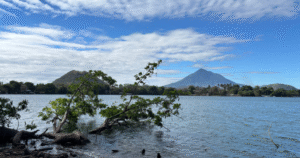 MARN atribuye mortandad de peces en laguna de Apastepeque a bajos niveles de oxígeno - La Prensa Gráfica